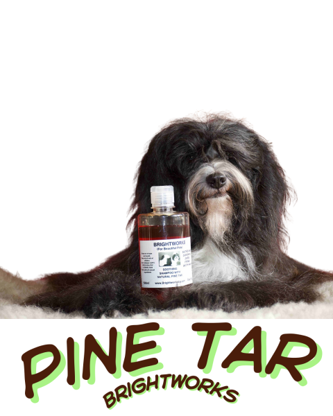 Spezialshampoo mit hochwertigem Kiefernteer